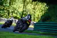 cadwell-no-limits-trackday;cadwell-park;cadwell-park-photographs;cadwell-trackday-photographs;enduro-digital-images;event-digital-images;eventdigitalimages;no-limits-trackdays;peter-wileman-photography;racing-digital-images;trackday-digital-images;trackday-photos